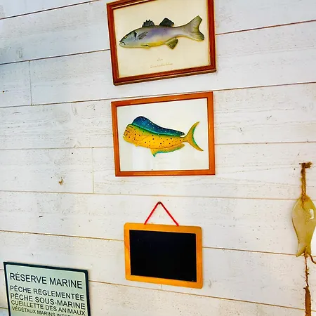 Casamarina2a Maisons Bord De Semesterbostad